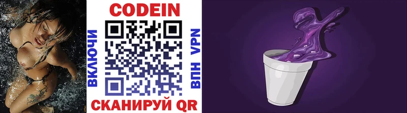 Codein напиток Lean (лин)  купить наркотики цена  Николаевск 