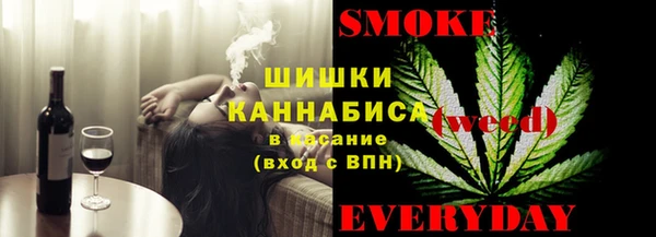 твердый Вяземский