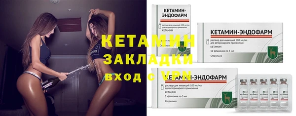 твердый Вяземский