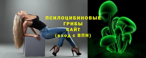 дживик Володарск