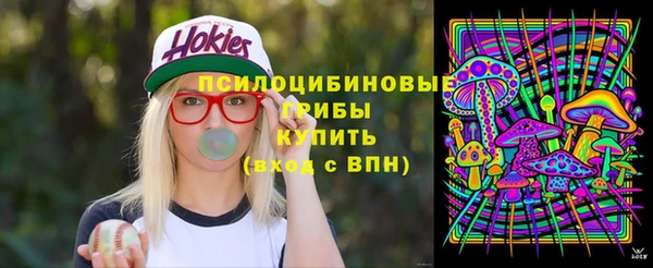 мдпв Вязьма