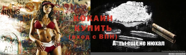 твердый Вяземский
