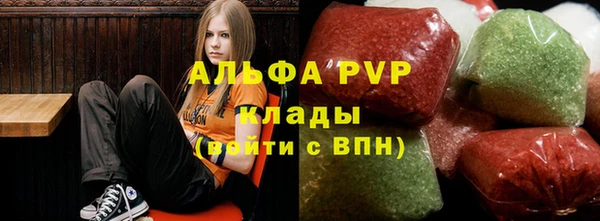 твердый Вяземский