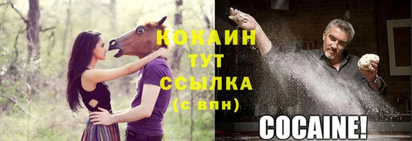 стафф Вязники
