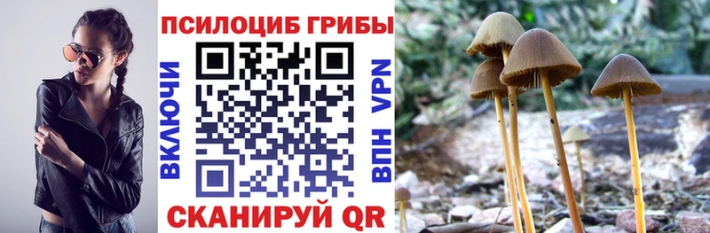 блэк спрут зеркало  Николаевск  Псилоцибиновые грибы Magic Shrooms 