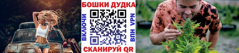 Каннабис AK-47  где можно купить наркотик  Николаевск 